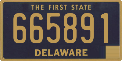 DE license plate 665891