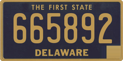 DE license plate 665892