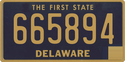 DE license plate 665894