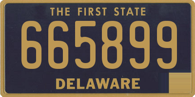 DE license plate 665899