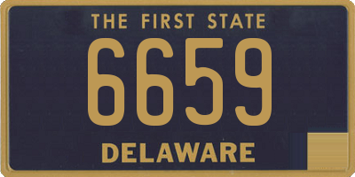 DE license plate 6659