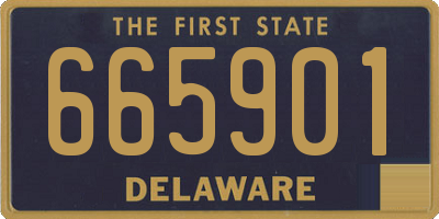 DE license plate 665901