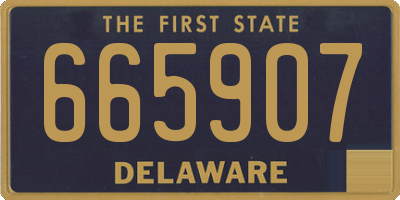 DE license plate 665907