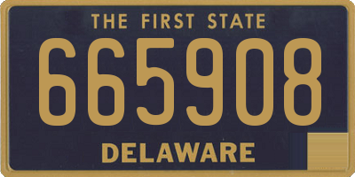 DE license plate 665908