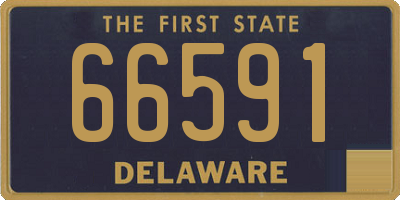 DE license plate 66591