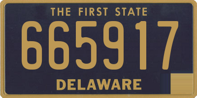 DE license plate 665917