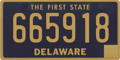 DE license plate 665918