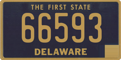 DE license plate 66593