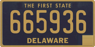 DE license plate 665936
