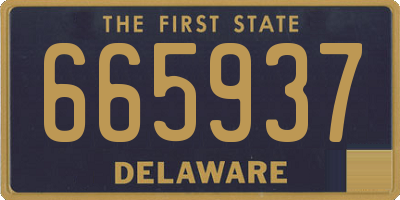 DE license plate 665937