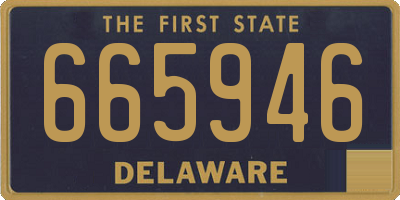 DE license plate 665946