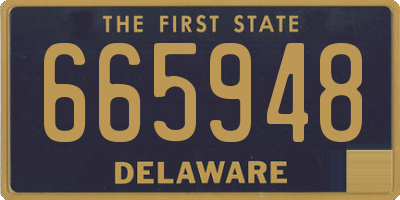 DE license plate 665948
