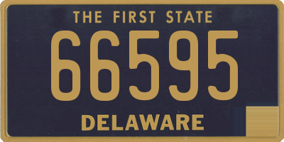 DE license plate 66595