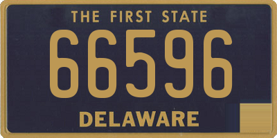 DE license plate 66596