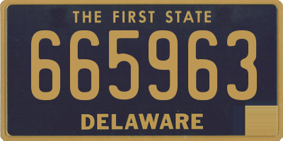 DE license plate 665963
