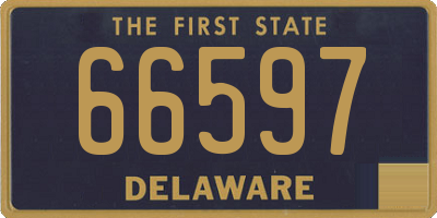 DE license plate 66597