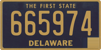 DE license plate 665974