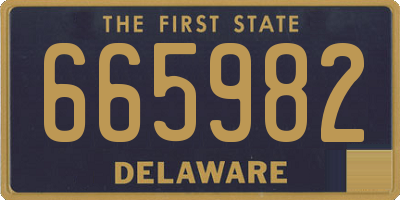 DE license plate 665982