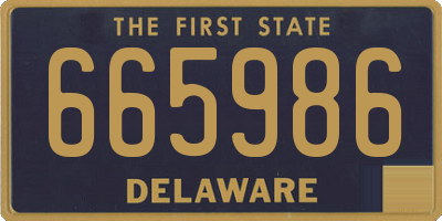 DE license plate 665986