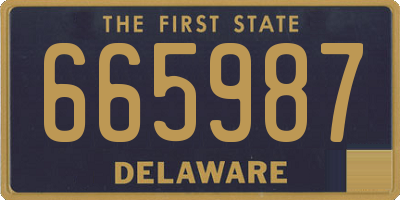 DE license plate 665987