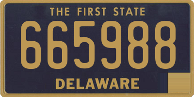 DE license plate 665988
