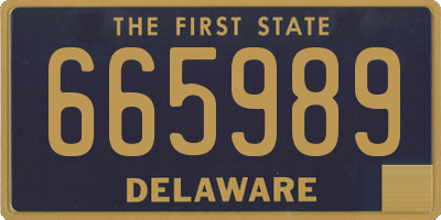 DE license plate 665989