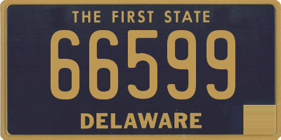DE license plate 66599