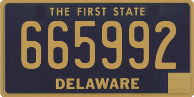 DE license plate 665992
