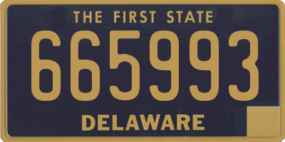 DE license plate 665993