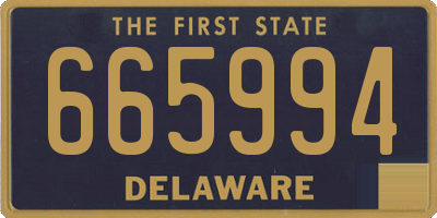 DE license plate 665994