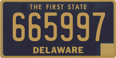 DE license plate 665997