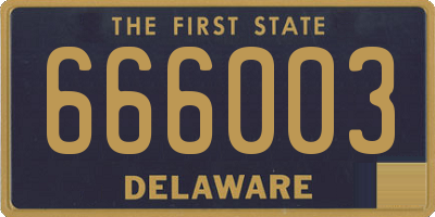 DE license plate 666003