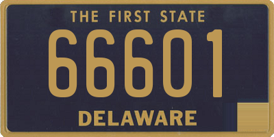 DE license plate 66601