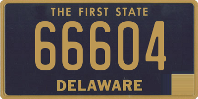 DE license plate 66604