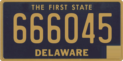 DE license plate 666045