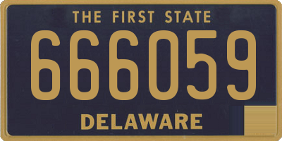 DE license plate 666059