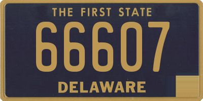 DE license plate 66607