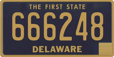 DE license plate 666248