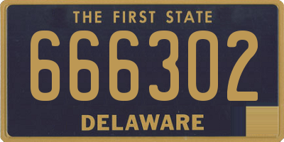 DE license plate 666302