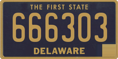DE license plate 666303