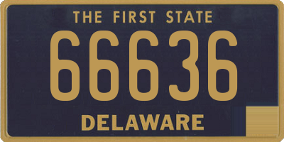 DE license plate 66636