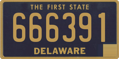 DE license plate 666391
