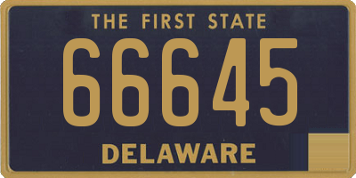 DE license plate 66645