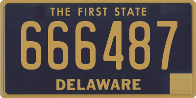DE license plate 666487