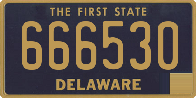 DE license plate 666530