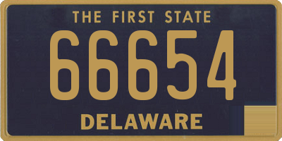 DE license plate 66654