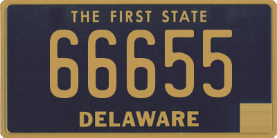 DE license plate 66655