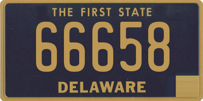 DE license plate 66658