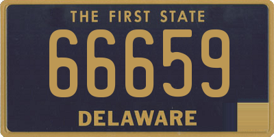 DE license plate 66659