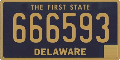 DE license plate 666593